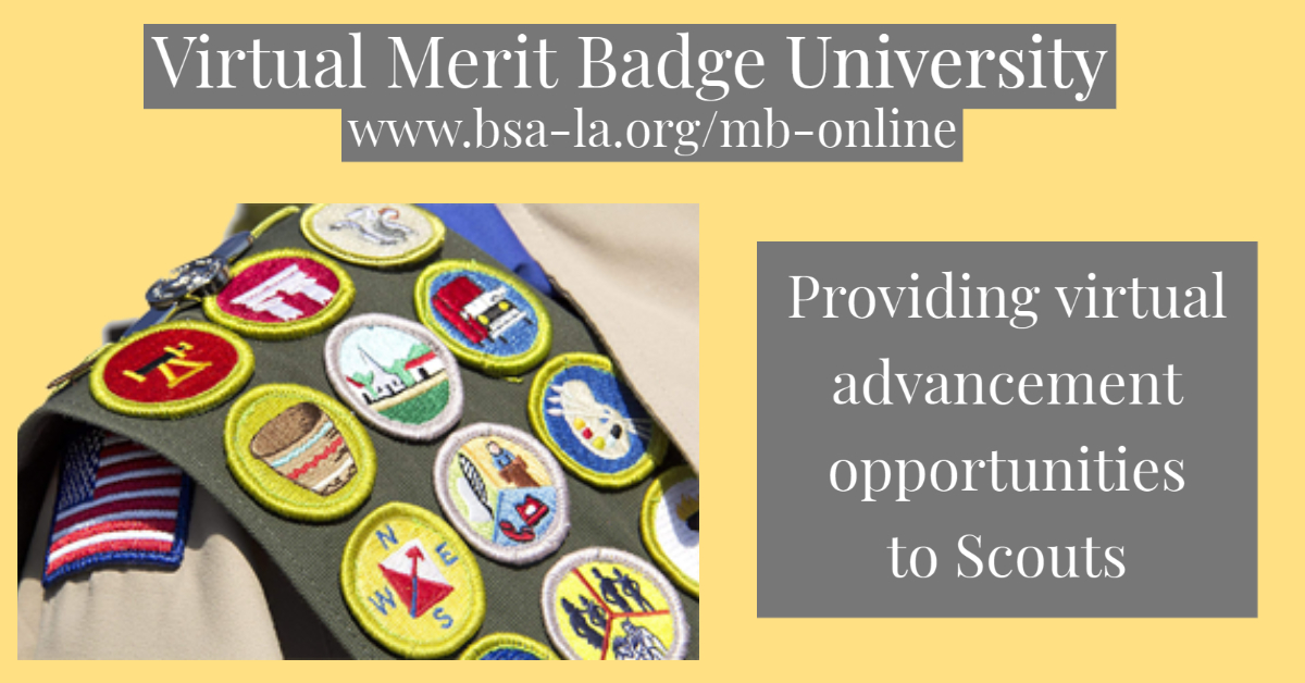 2020 Virtual Merit Badge University Session 12